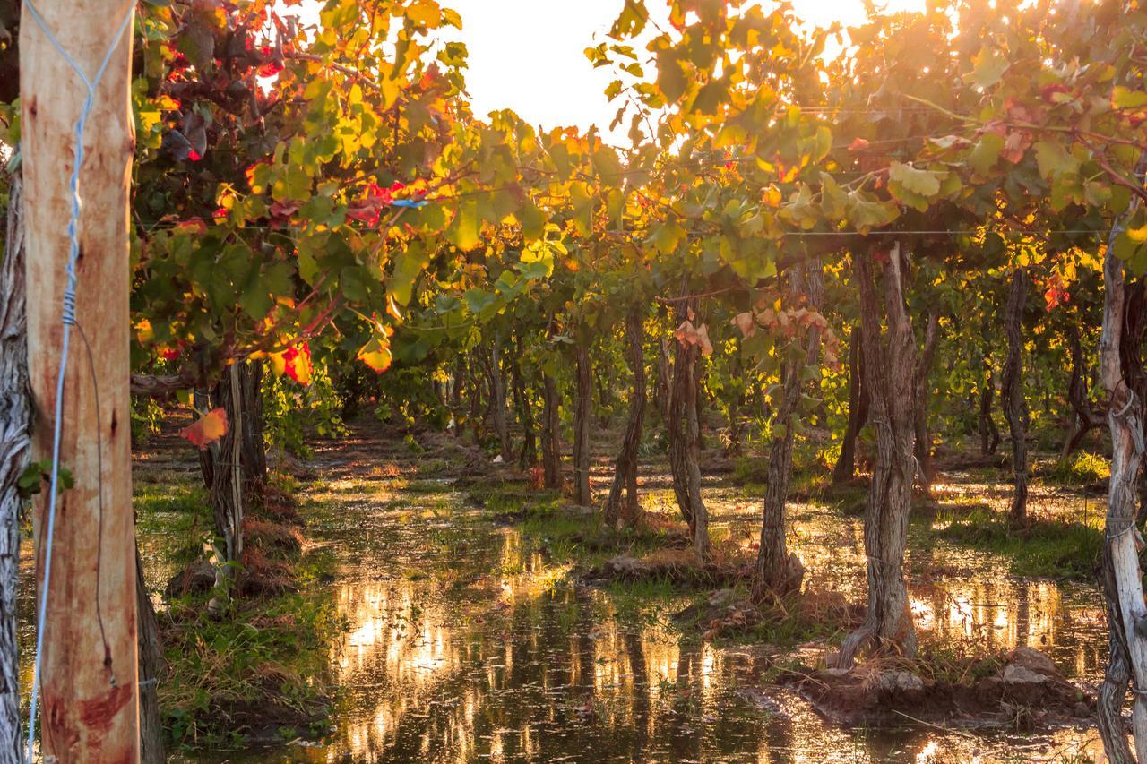 Marale Wines Hotel Boutique Villa Media Agua Eksteriør bilde